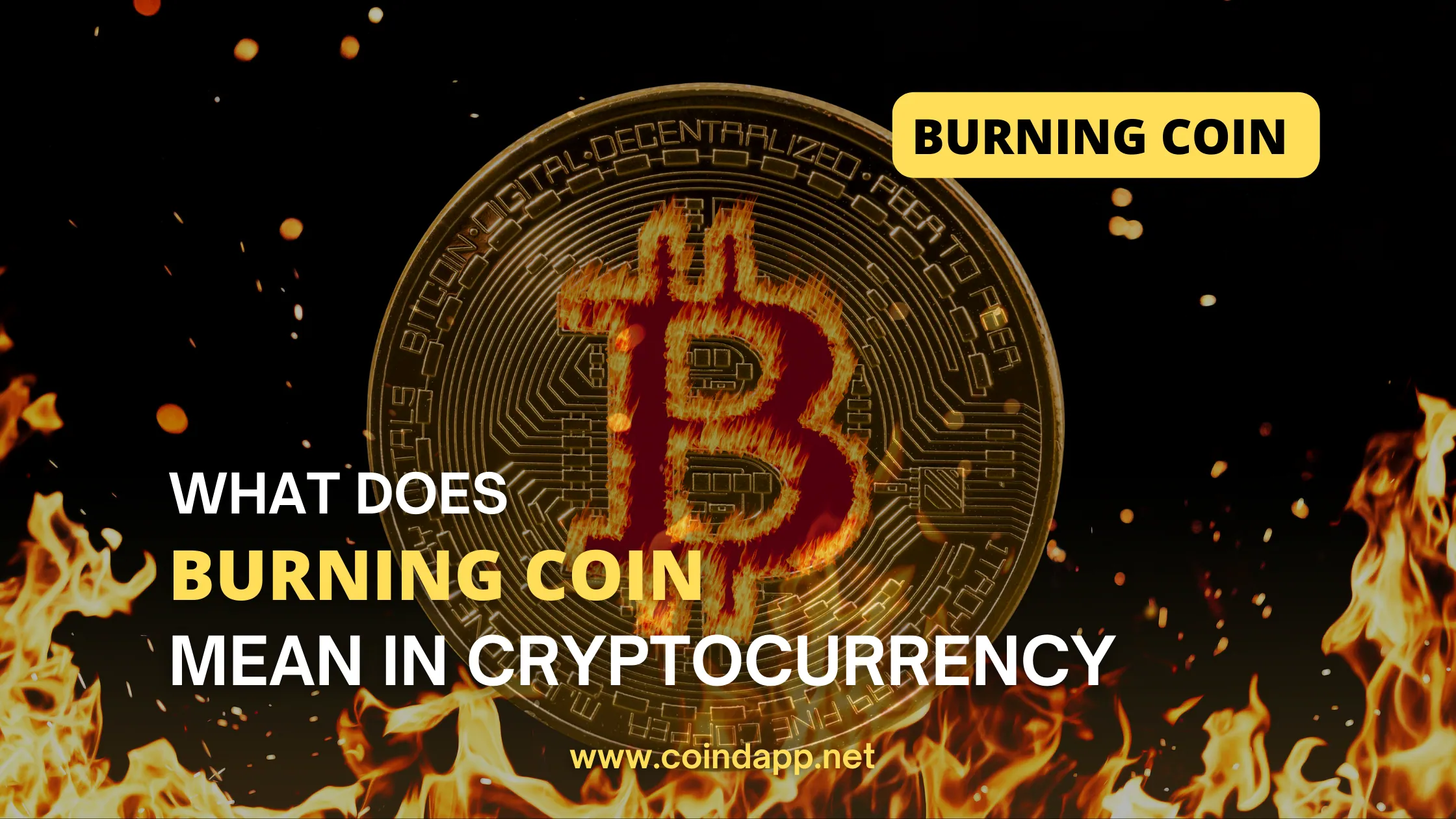 Burning Crypto