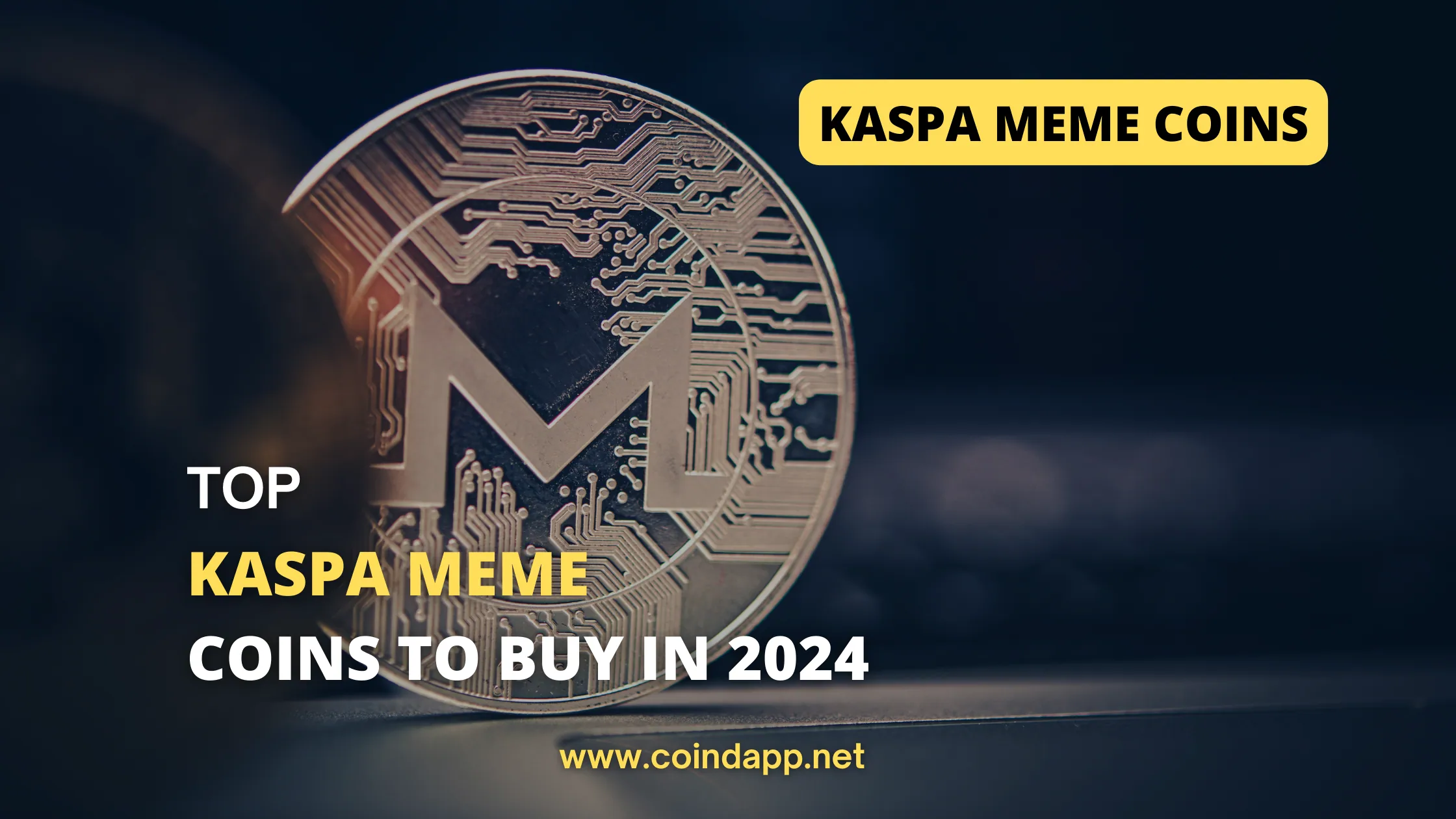 Top Kaspa Meme Coins to Invest in 2024