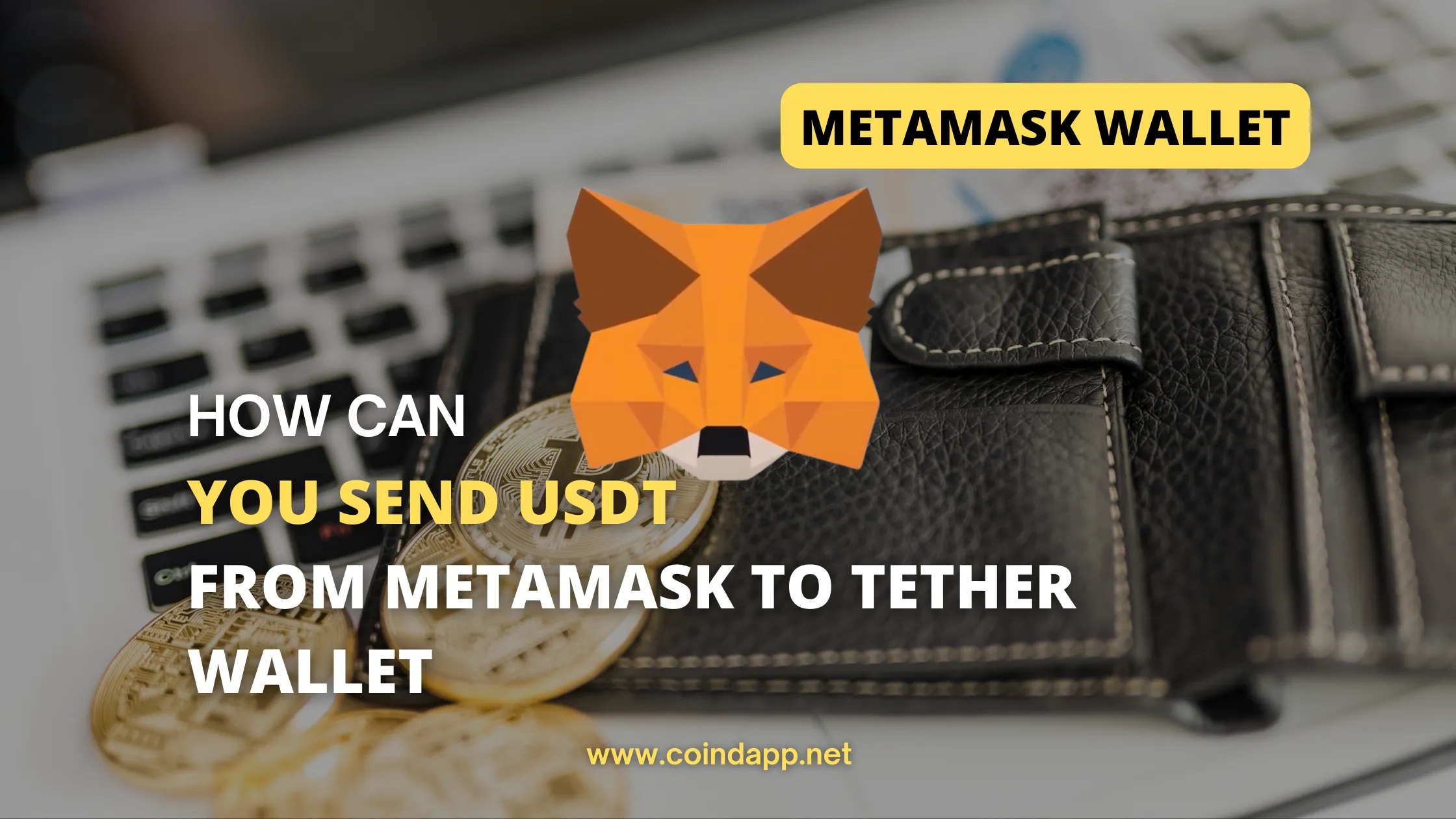 Guide to Send USDT from MetaMask to Tether Wallet